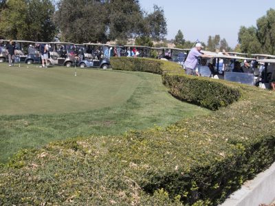 Lining-up-with-carts-