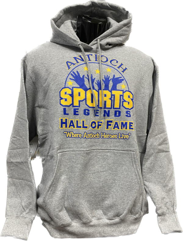 Grey Hoodie with Blue and Gold Lobo